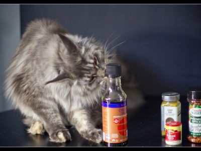 Secret Ingredient Behind EYC Recipes